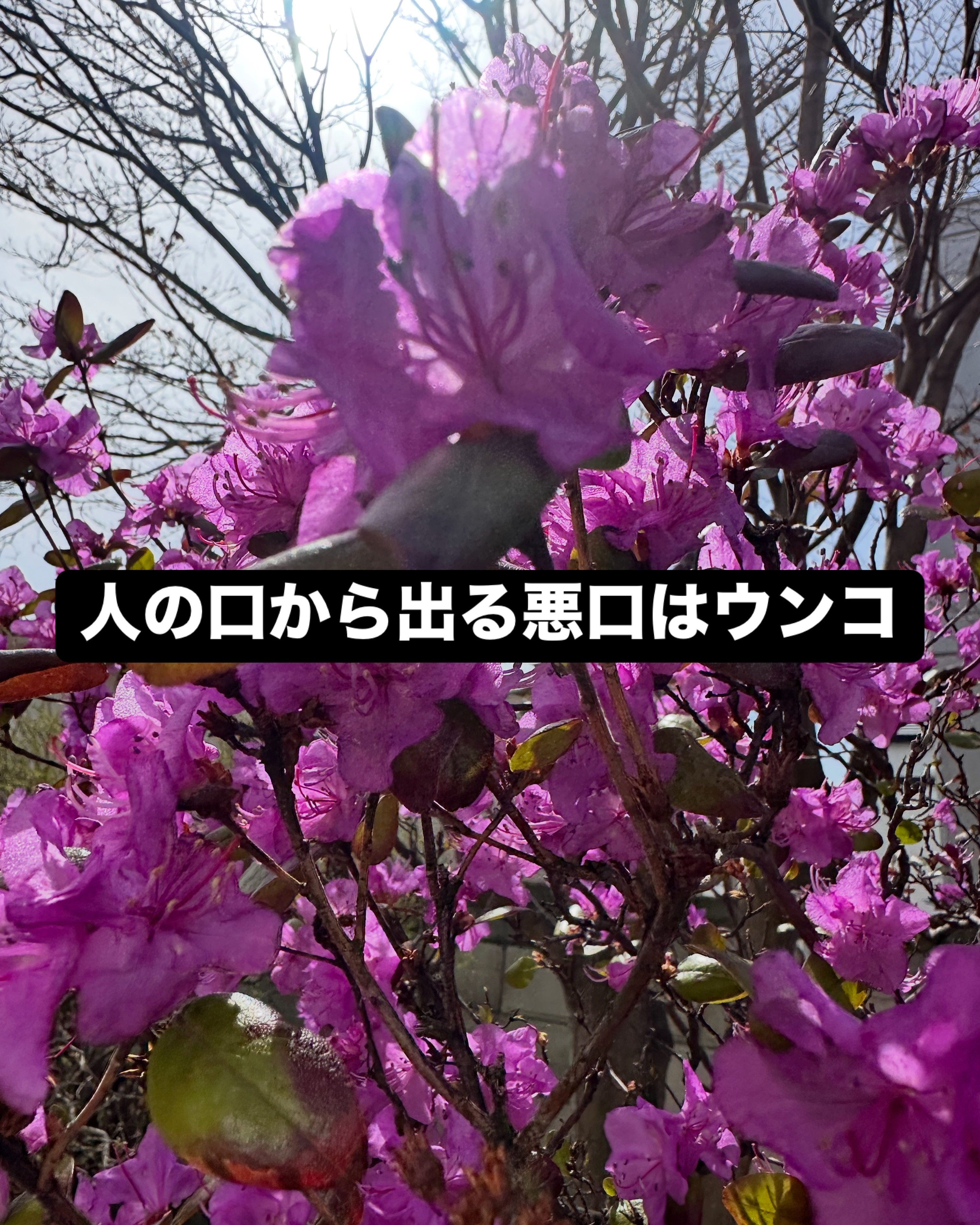 ファイル 140-1.jpeg